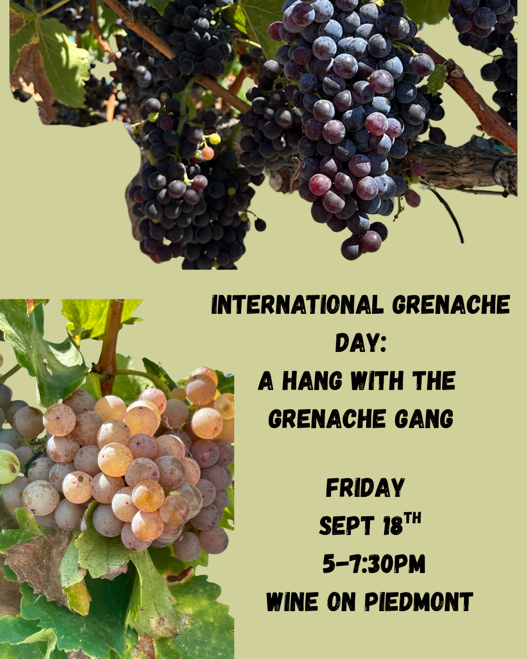 Friday Night Tasting: A Hang with the Grenache Gang | 9.18.26 5-7:30pm